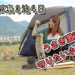 【キャンプ】たった数年でうさぎが激減した大久野島へ…