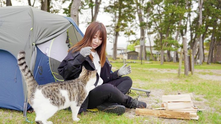 キャンプ場までついてきた野良猫が可愛過ぎた【猫とキャンプ】