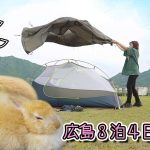 【キャンプ】可愛すぎる赤ちゃんウサギが大量発生！！