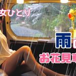 【車中泊女子】ひとりぼっちで雨の中 お花見で癒される【N-VAN】