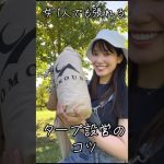 【タープ設営】女1人でも巨大タープを張れるコツ！　#shorts