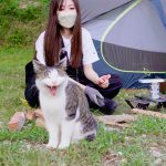 【保護猫30匹とキャンプ】念願だった猫まみれの里を訪れました