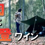 【ペレットストーブ】ぼっち女のソロキャンプ 【牛肉のケチャップ炒め】　Fried beef with ketchup /solo camping