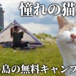 憧れの猫島へ🐈美しい島の無料キャンプ場【男木島灯台キャンプ場】