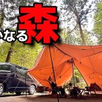 必見！愛知にもこんなに良いキャンプ場があった！サーカスtcオープンスタイル！【車中泊キャンプ】【サーカスＴＣ】【愛知県キャンプ場】