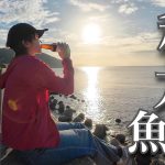 【さんまの塩焼き】ぼっち女のソロキャンプ 【淡路一人旅】camping in Awaji island